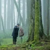 Antlers Movie Diamond Painting