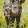 Baby Tapir Diamond Painting