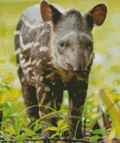 Baby Tapir Diamond Painting