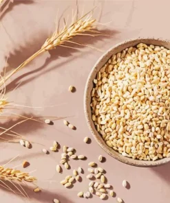 Barley Grain Diamond Painting