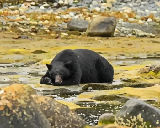 Bear Sleeping Diamond Painting