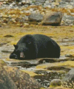 Bear Sleeping Diamond Painting