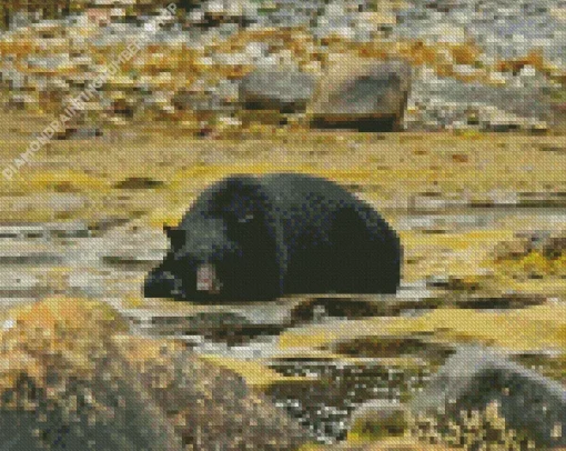 Bear Sleeping Diamond Painting