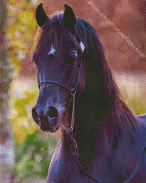 Black Arabian Horse Diamond Painting
