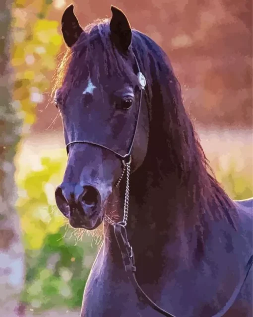 Black Arabian Horse Diamond Painting