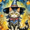 Black Cat Witch Diamond Painting