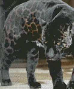 Black Panther Animal Diamond Painting