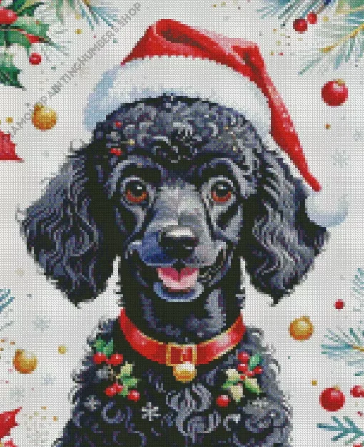 Black Poodle Diamond Painting