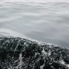 Black Water Diamond Painting