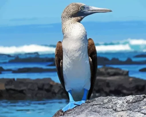 Blue Footed Booby Diamond Painting