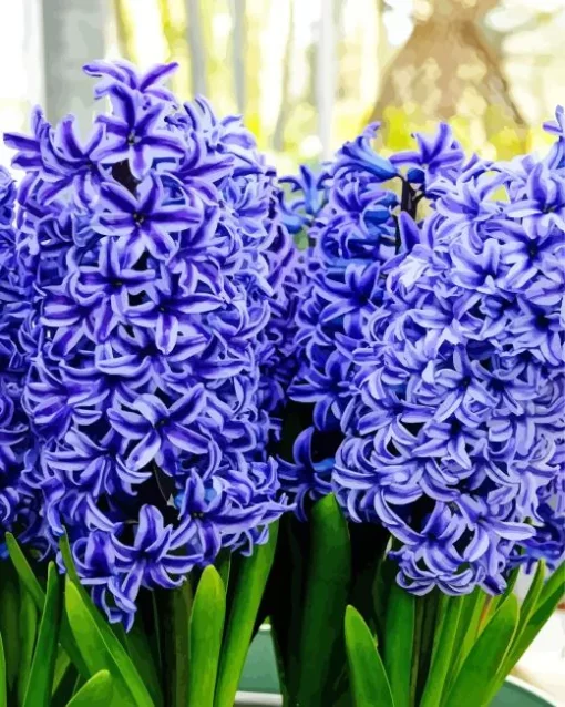 Blue Hyacinth Flowers Diamond Painting