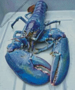 Blue Lobster Diamond Painting