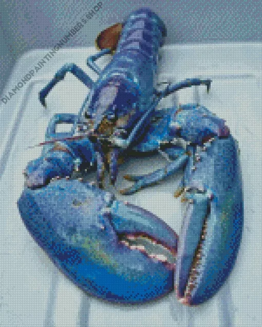 Blue Lobster Diamond Painting