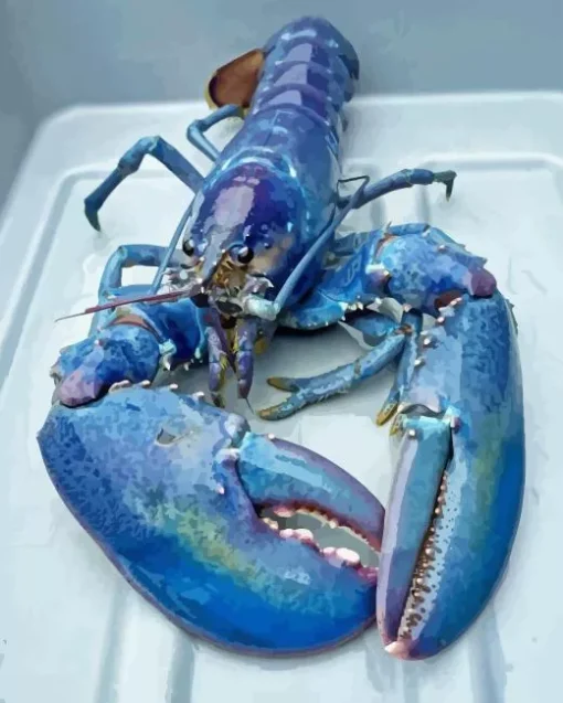 Blue Lobster Diamond Painting