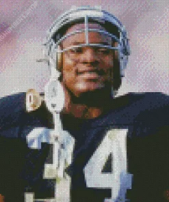 Bo Jackson Baseballer Diamond Painting