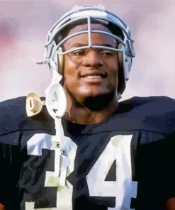 Bo Jackson Baseballer Diamond Painting