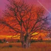 Boab Tree At Sunset Diamond Painting