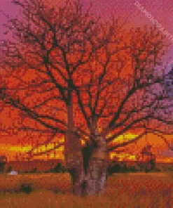 Boab Tree At Sunset Diamond Painting