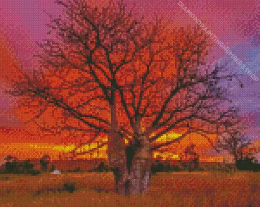 Boab Tree At Sunset Diamond Painting
