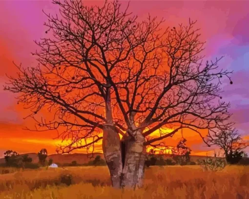 Boab Tree At Sunset Diamond Painting