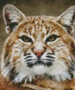 Bobcat Face Diamond Painting
