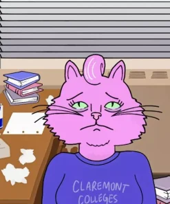Bojack Horseman Princess Carolyn Diamond Painting
