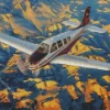 Bonanza Flying Diamond Painting