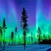 Borealis Trees Diamond Painting