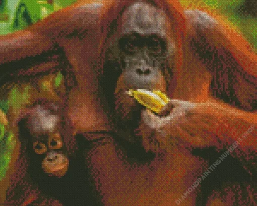 Bornean Orangutan Diamond Painting