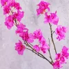 Bougainvillea Branch Diamond Painting
