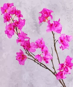 Bougainvillea Branch Diamond Painting