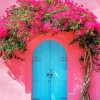 Bougainvillea Front Door Diamond Painting