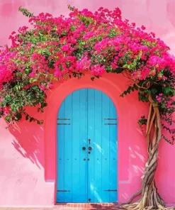 Bougainvillea Front Door Diamond Painting