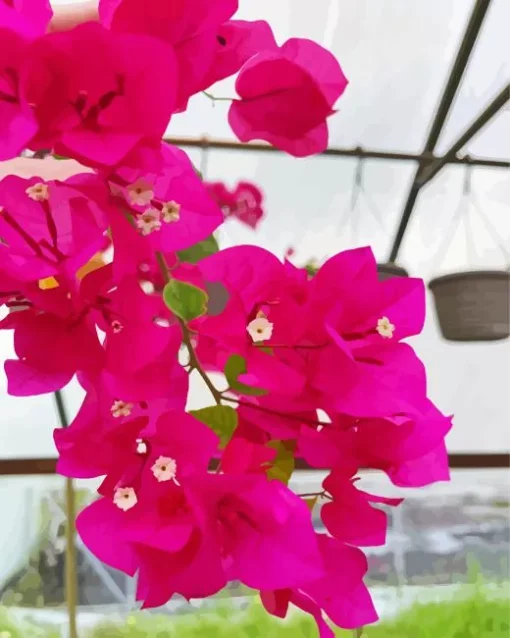 Bougainvillea Plant Diamond Painting