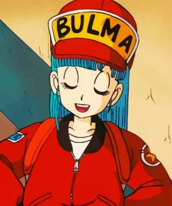 Bra Dragon Ball Diamond Painting