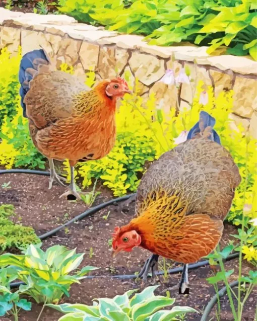 Braekel Chicken Diamond Painting
