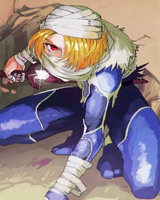Breath Of The Wild Sheik Diamond Painting