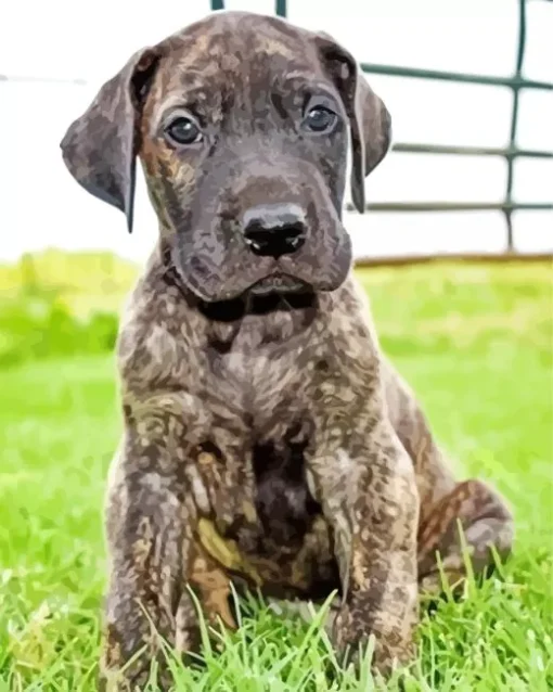 Brindle Dane Puppy Diamond Painting
