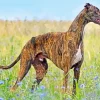 Brindle Dog Diamond Painting