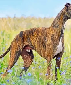Brindle Dog Diamond Painting
