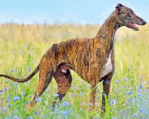 Brindle Dog Diamond Painting