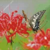 Butterfly On Red Spider Lily Diamond Painting