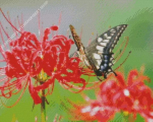 Butterfly On Red Spider Lily Diamond Painting