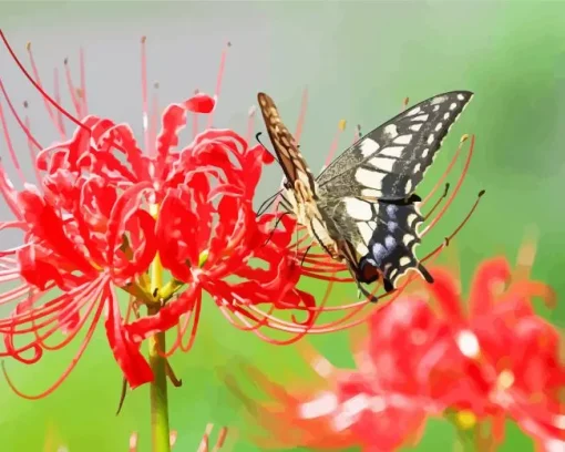 Butterfly On Red Spider Lily Diamond Painting