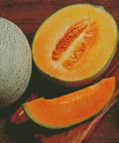 Cantaloupe Melon Diamond Painting