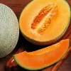 Cantaloupe Melon Diamond Painting