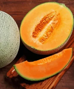 Cantaloupe Melon Diamond Painting
