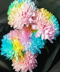 Chrysanthemum Flower Diamond Painting