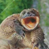 Common Snapping Turtle Diamond Painting