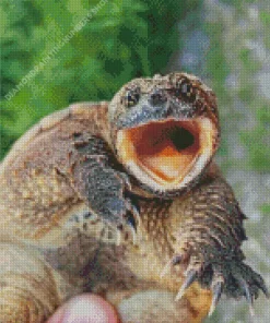Common Snapping Turtle Diamond Painting